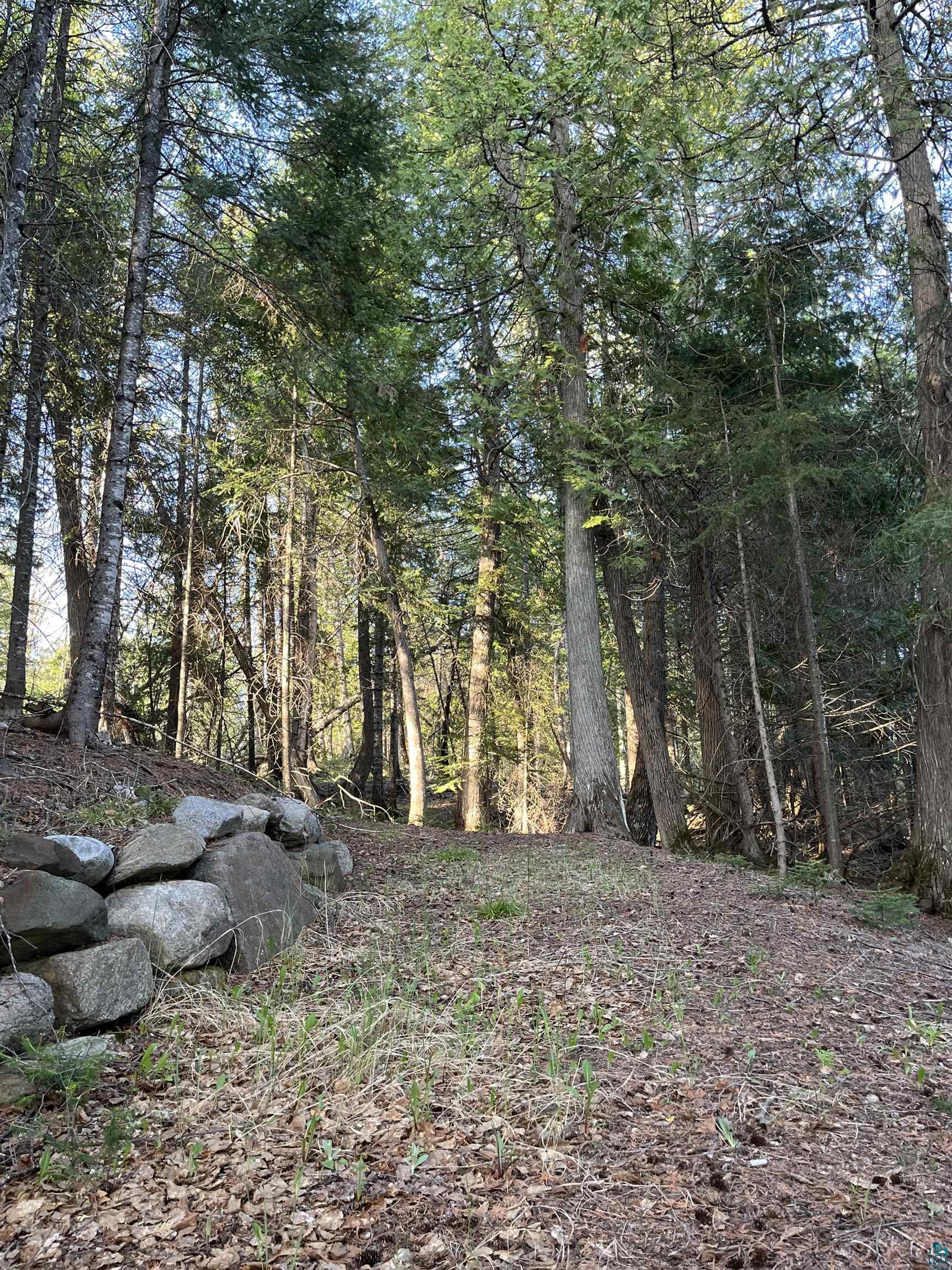 190 North Loon Lake Road Grand Marais, MN 55604 - Photo 42 of 65 Wide trail to the lake
