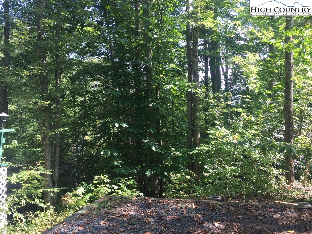 376 Windridge Road Newland, NC 28657 - Photo 26 of 30 Gallery Image 26