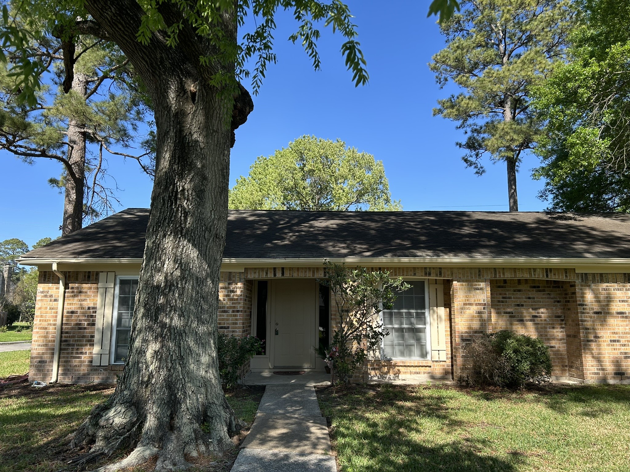 25414 Cottage Hill Lane Spring, TX 77373 - Photo 3 of 50 front view of a house with a yard