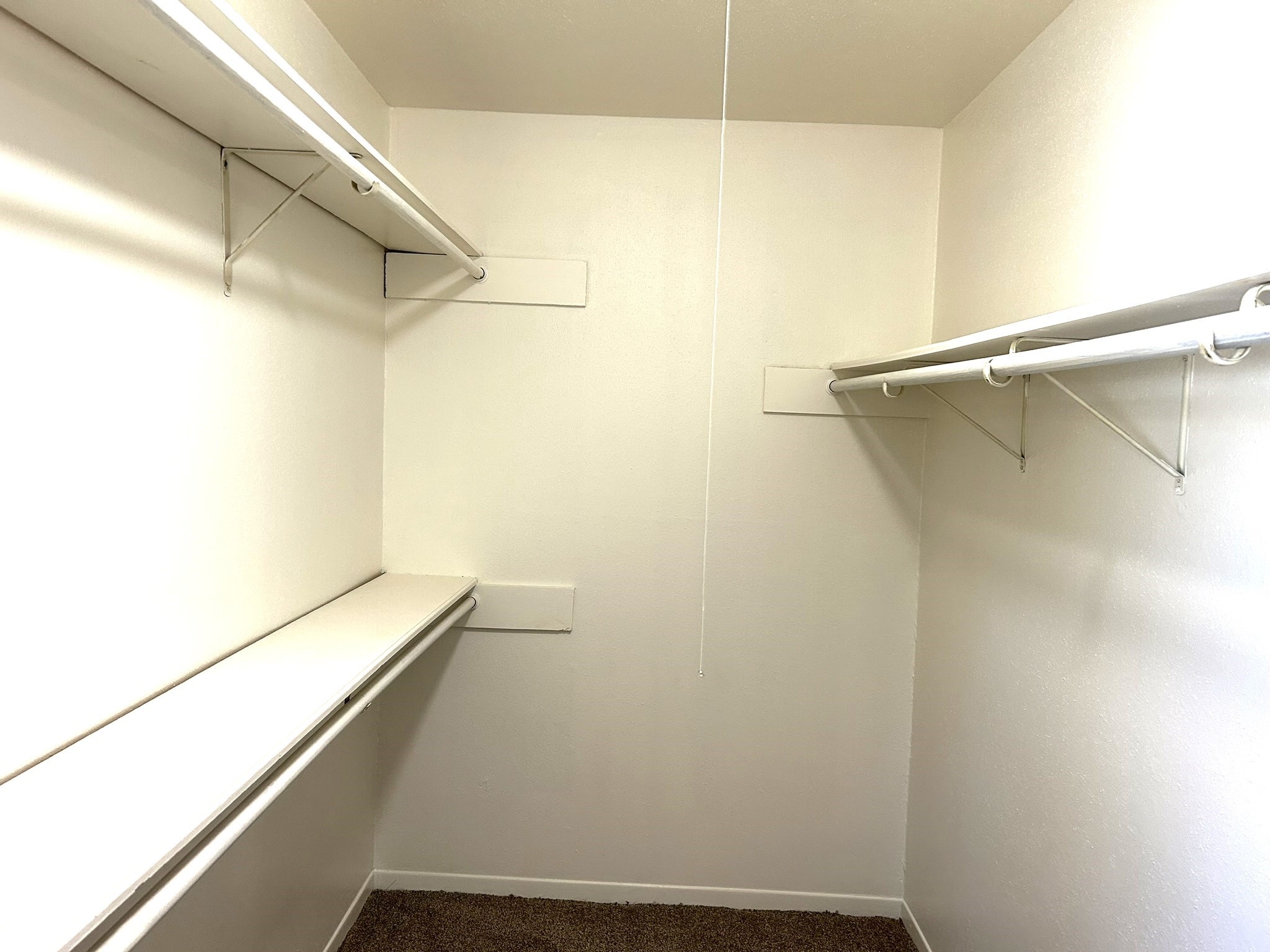 25414 Cottage Hill Lane Spring, TX 77373 - Photo 35 of 50 Giant closet with shelves