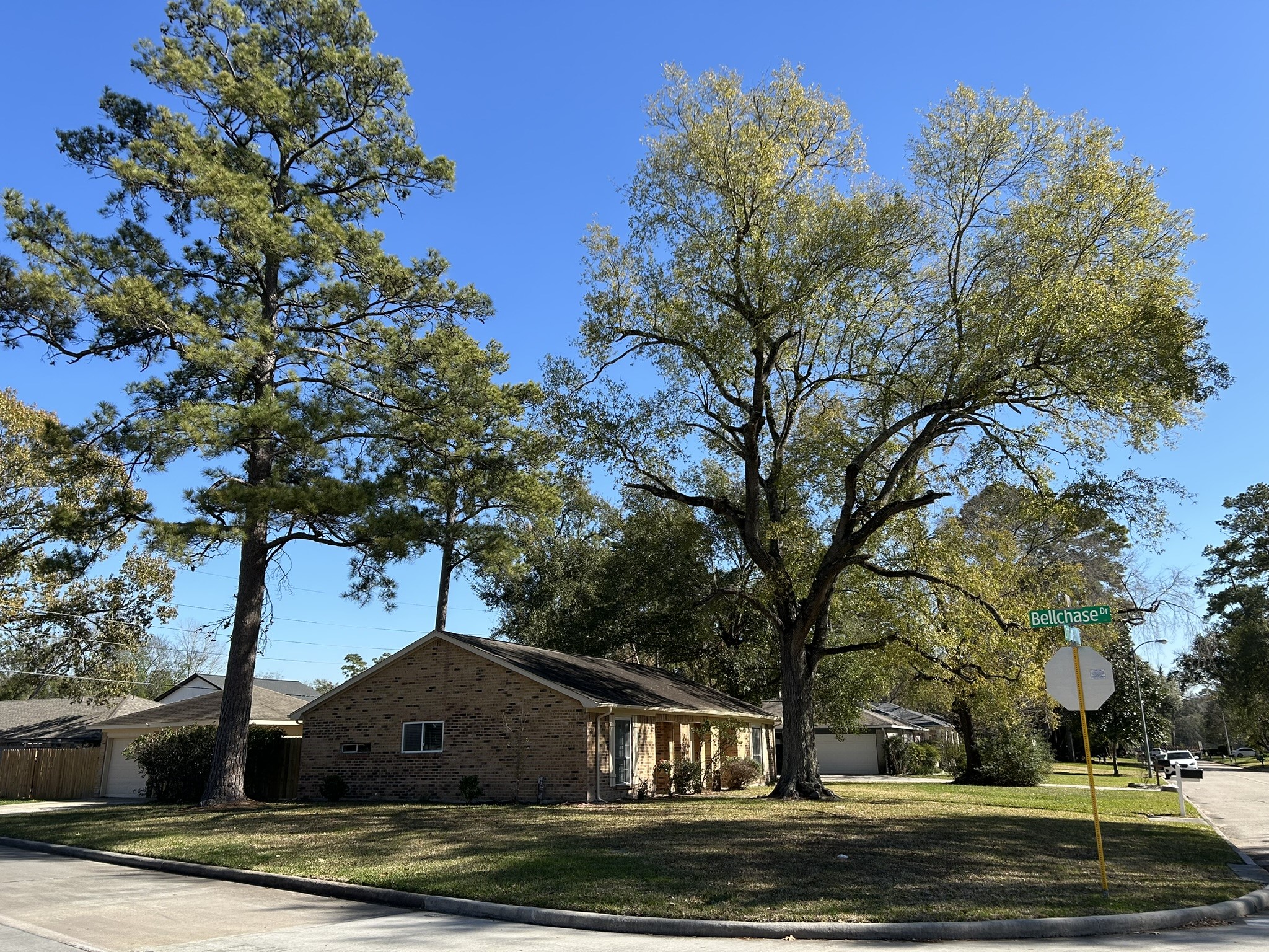 25414 Cottage Hill Lane Spring, TX 77373 - Photo 49 of 50 a view of house with yard