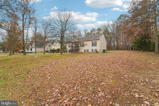 a big yard with trees in front of it