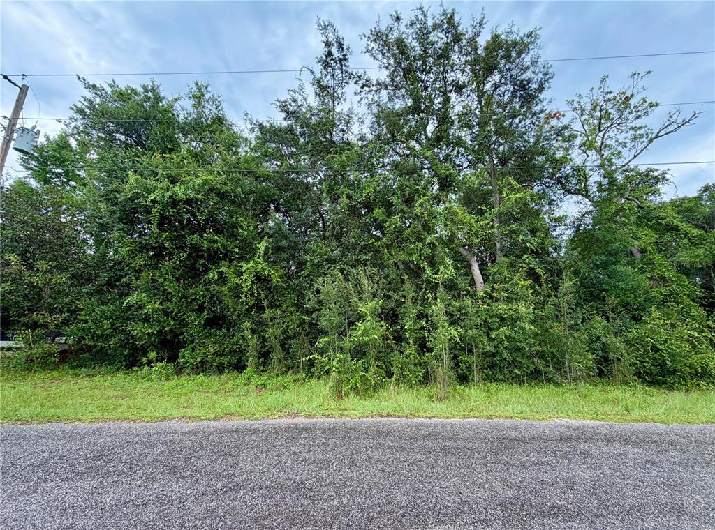 0 Southeast 175th Terrace Road Silver Springs, FL 34488 - Photo 1 of 6 Gallery Image 1