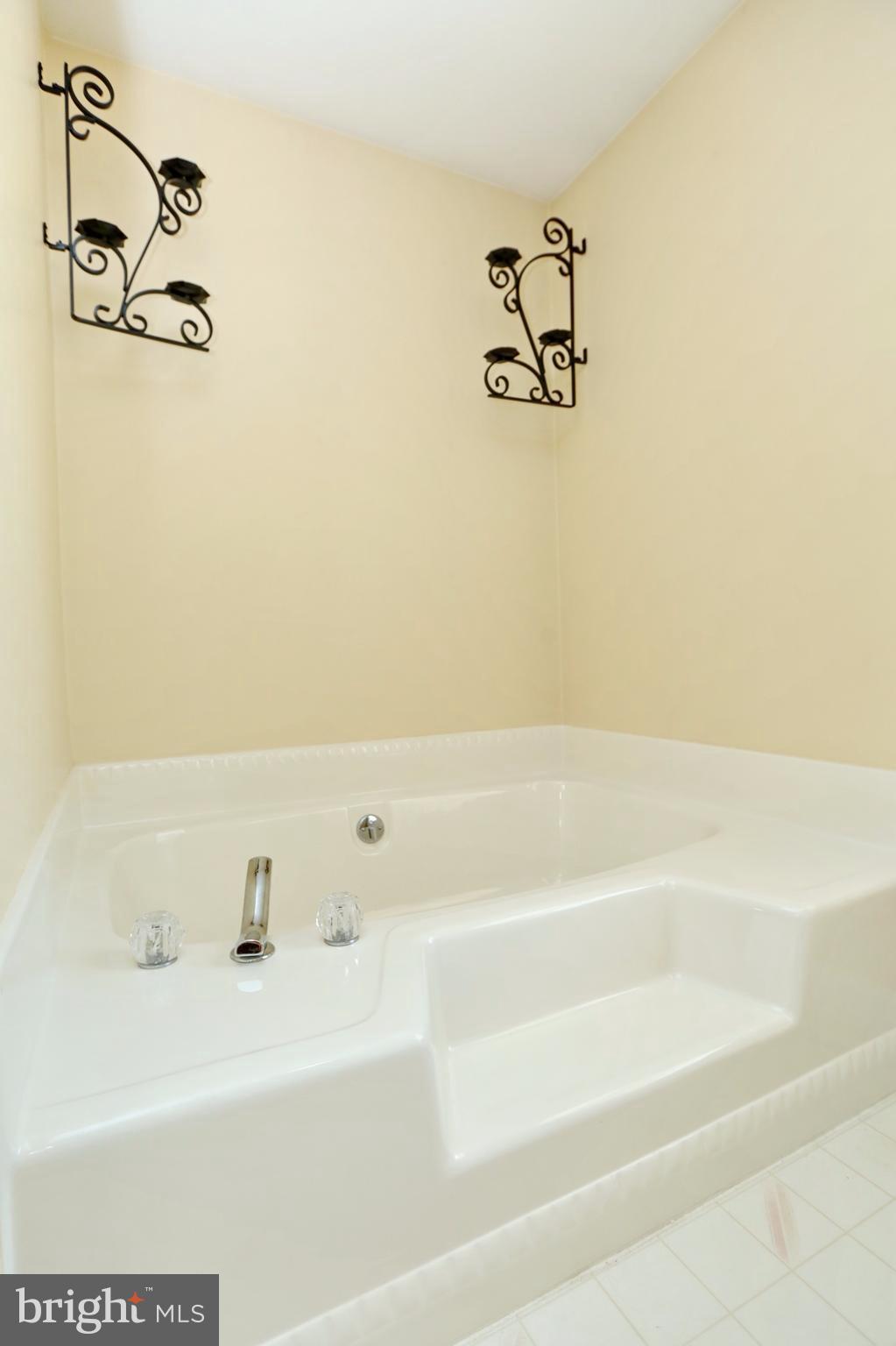 5915 Bicknell Road Indian Head, MD 20640 - Photo 10 of 23 Master Soaking Tub
