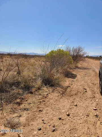 a view of a dry yard with wooden fence