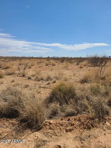 a view of a dry yard with wooden floor and a mountain view