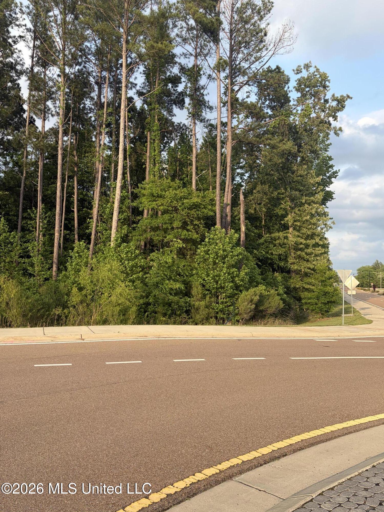 Airport Road Flowood, MS 39232 - Photo 4 of 8 Land Image 98