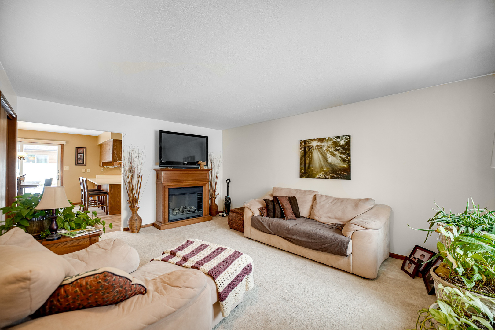 375 Meadows Road North Bourbonnais, IL 60914 - Photo 3 of 18