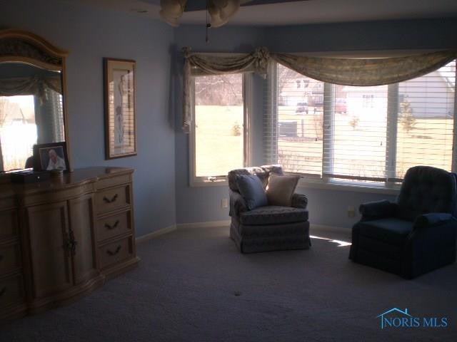 770 Inverness Drive Defiance, OH 43512 - Photo 11 of 17 Gallery Image 11