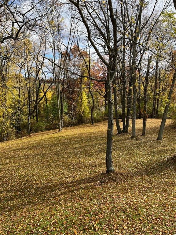 109 Marshall Drive Moon Township, PA 15108 - Photo 7 of 25 a view of outdoor space with trees