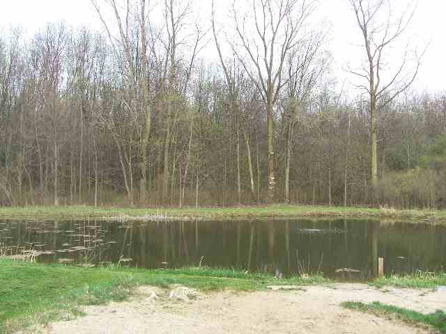 365 South Aurelius Road Mason, MI 48854 - Photo 4 of 10 Photo 4