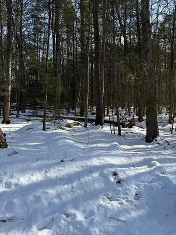 a view of park with swings and bench