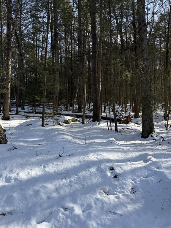 0 Four 4 Mile Brook Road Northfield, MA 01360 - Photo 4 of 12