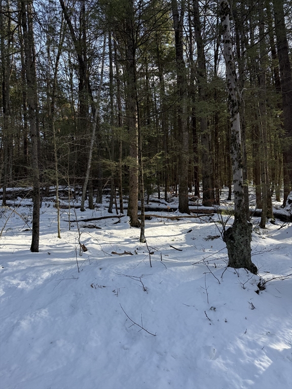 0 Four 4 Mile Brook Road Northfield, MA 01360 - Photo 5 of 12