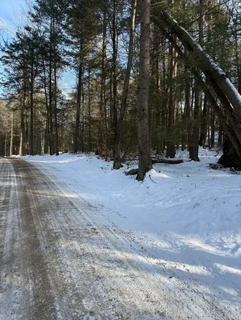 a view of road with trees