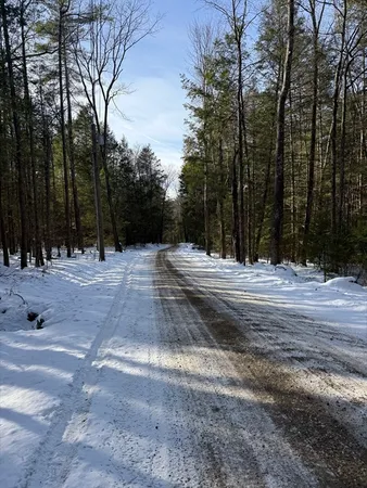a view of road with trees