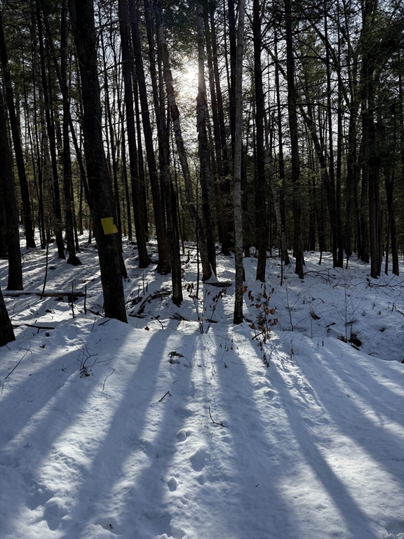 0 Four 4 Mile Brook Road Northfield, MA 01360 - Photo 9 of 11 a view of outdoor space with trees