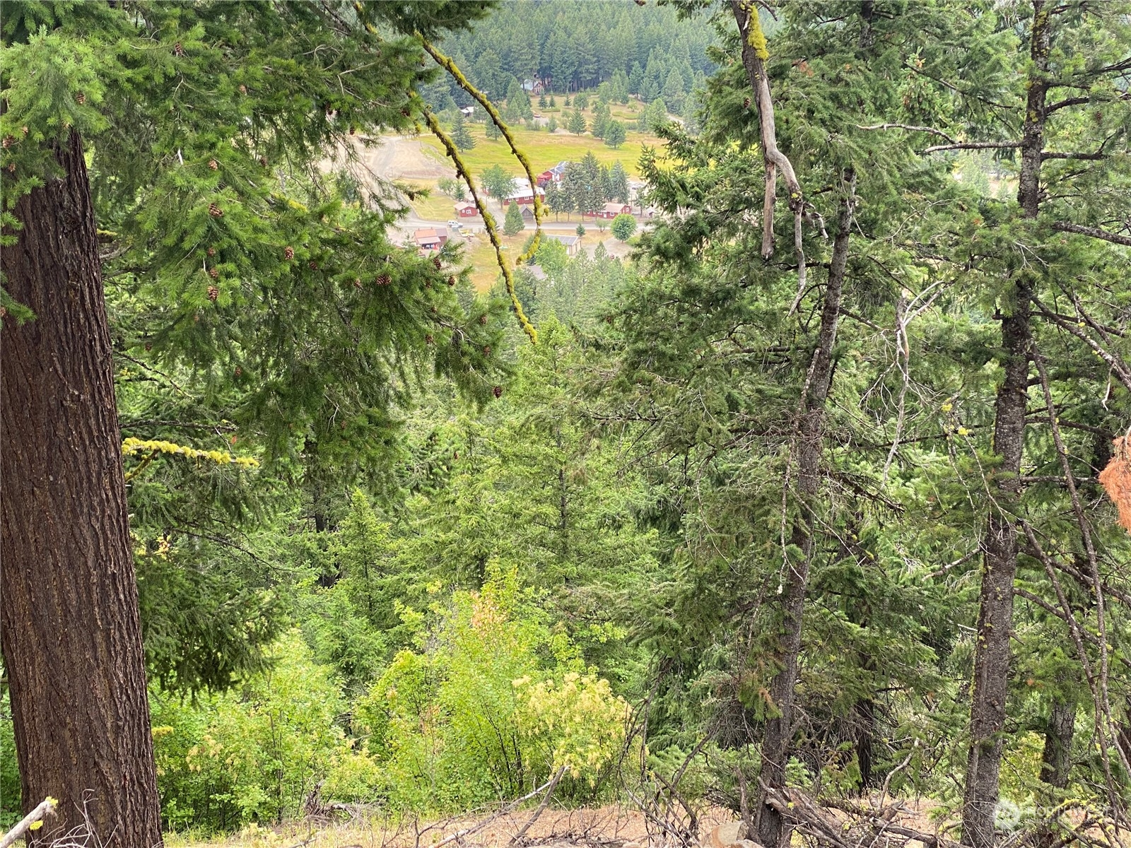 830 Skull Springs Road Cle Elum, WA 98922 - Photo 11 of 32 Gallery Image 11