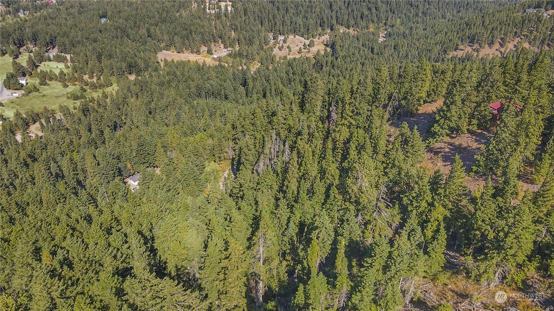 830 Skull Springs Road Cle Elum, WA 98922 - Photo 14 of 32 Gallery Image 14