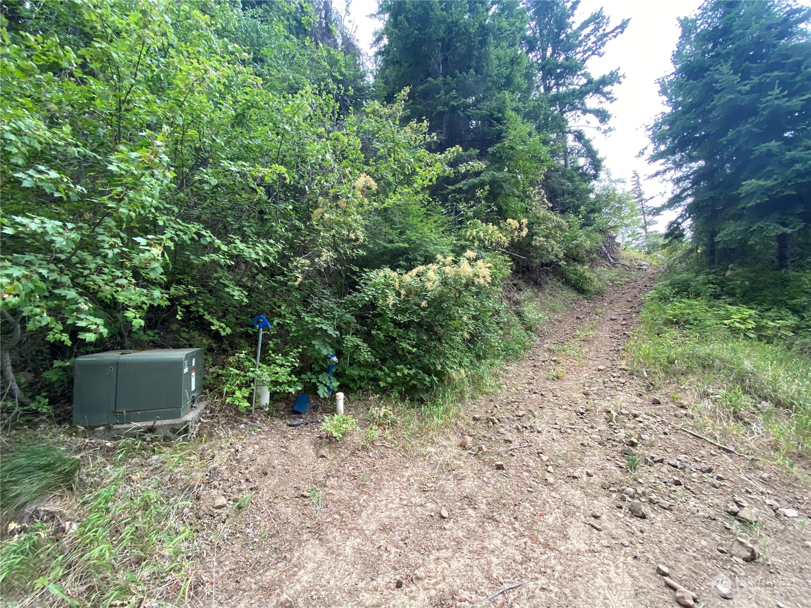 830 Skull Springs Road Cle Elum, WA 98922 - Photo 6 of 32 Gallery Image 6