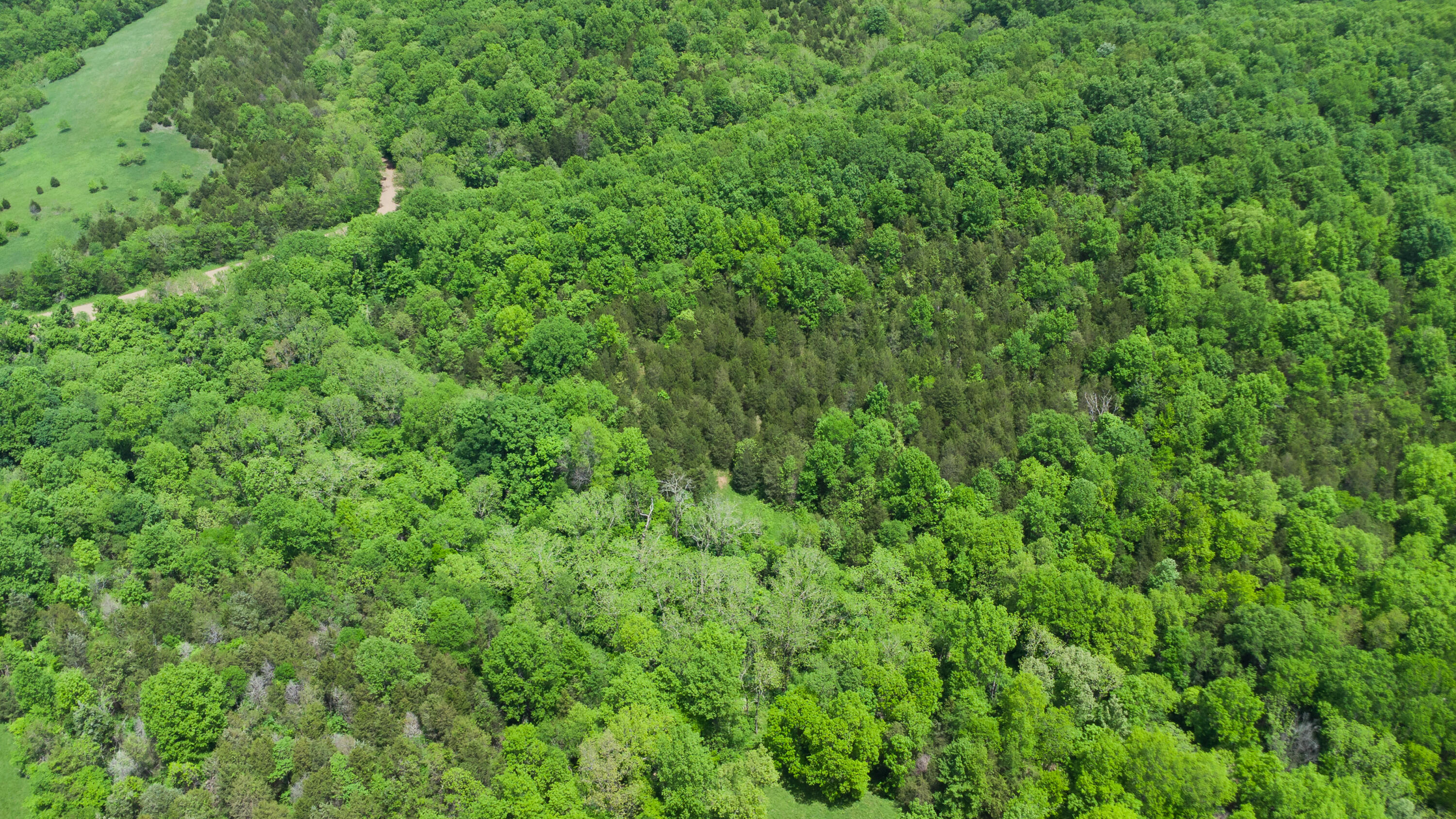 119-acres Keefer Road Corinth, KY 41010 - Photo 35 of 44 Gallery Image 35