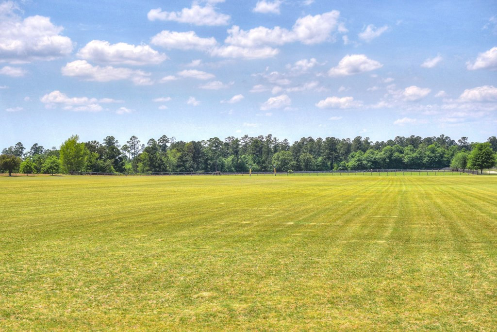 490 Big Tree Road Salley, SC 29137 - Photo 11 of 68