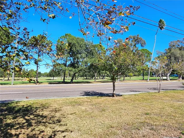 a view of a yard with a tree