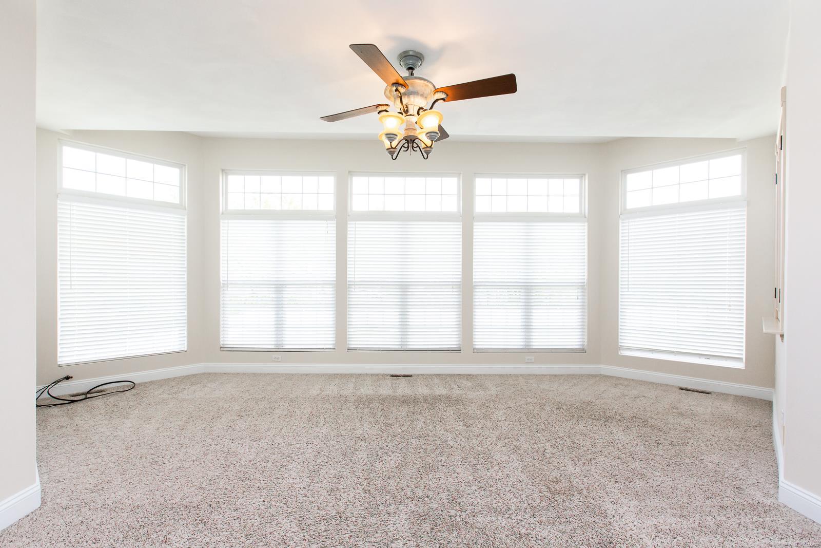 978 Dackk Road Collinsville, IL 62234 - Photo 9 of 63