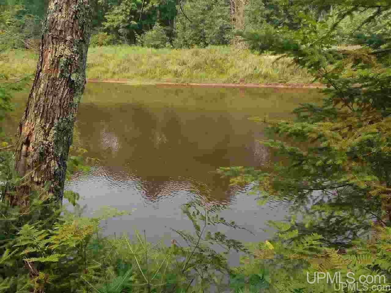 2563 N Rice Road Gulliver, MI 49840 - Photo 1 of 27