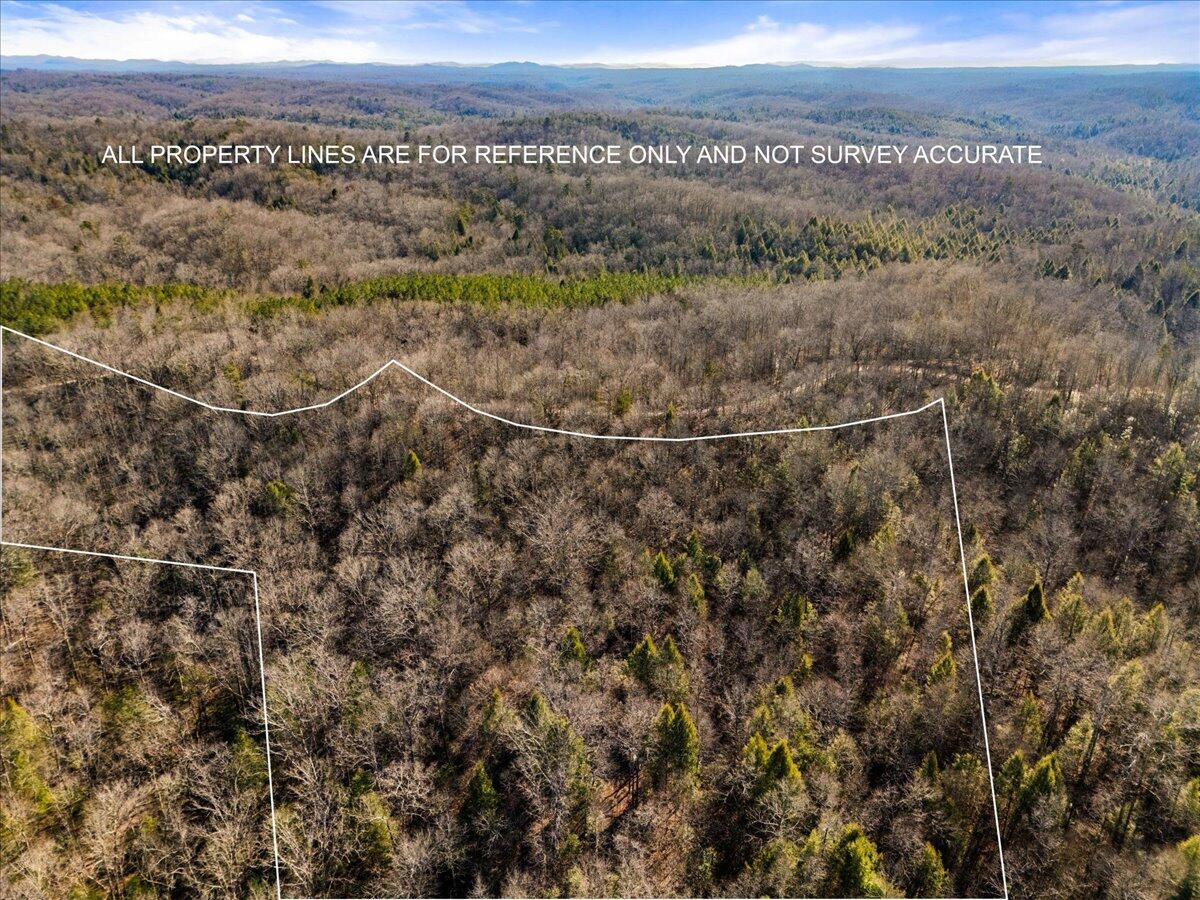 1111 Bee Creek Road Corbin, KY 40701 - Photo 33 of 38 23-Property Aerial