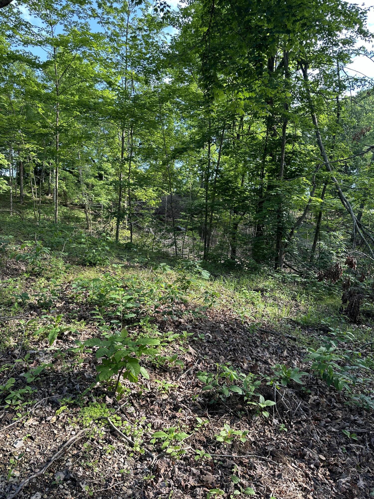 4450 Trapp-Goffs Cor Road Winchester, KY 40391 - Photo 8 of 11 IMG_9333