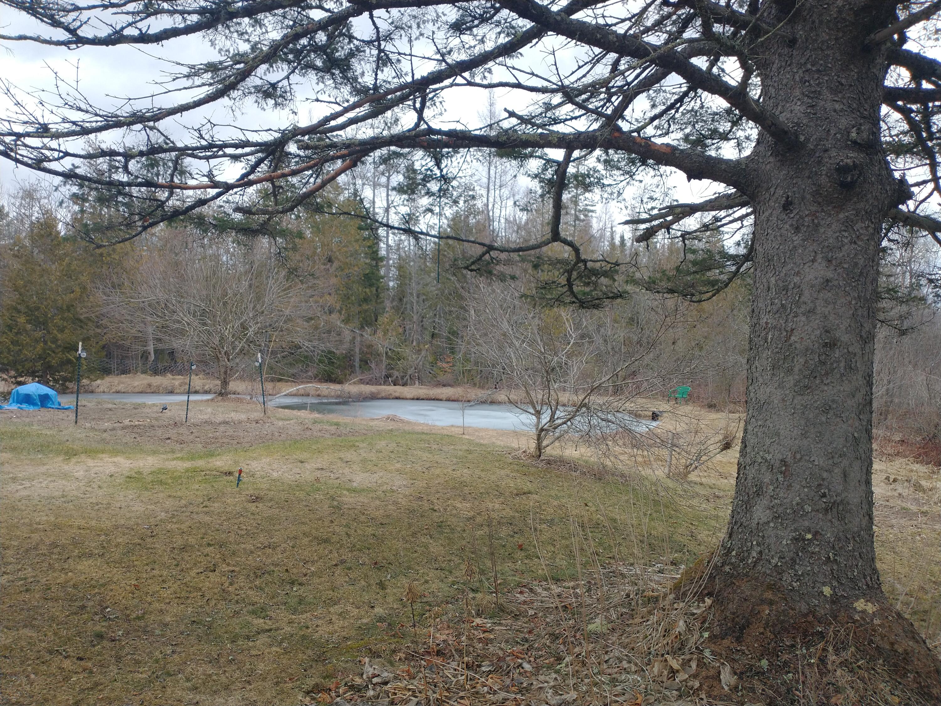 617 Dexter Road Garland, ME 04939 - Photo 39 of 73 IMG_20250404_113829639