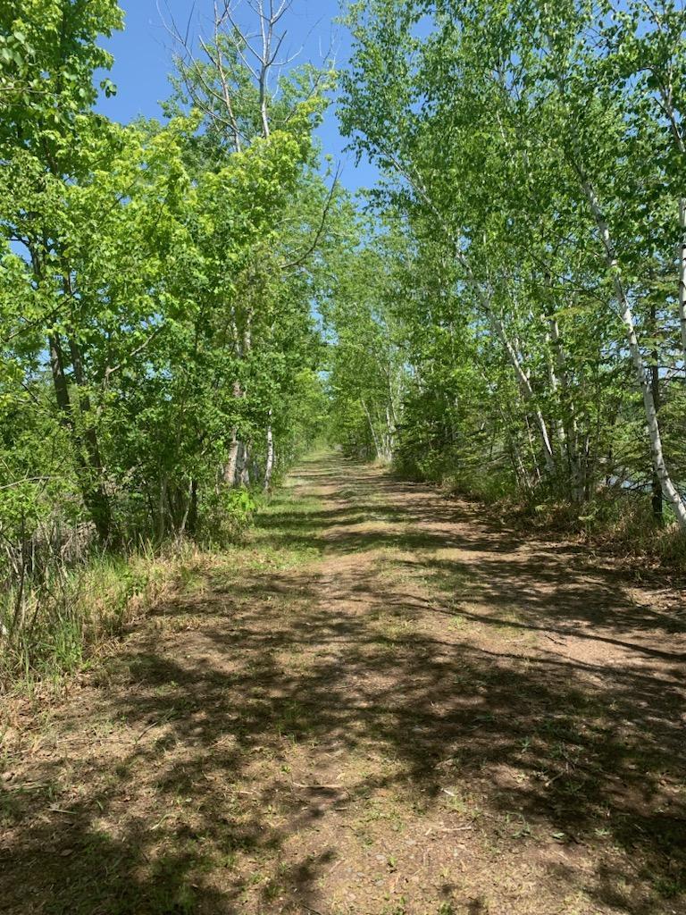 57538 Co Road Pine City, MN 55063 - Photo 1 of 15 Gallery Image 1