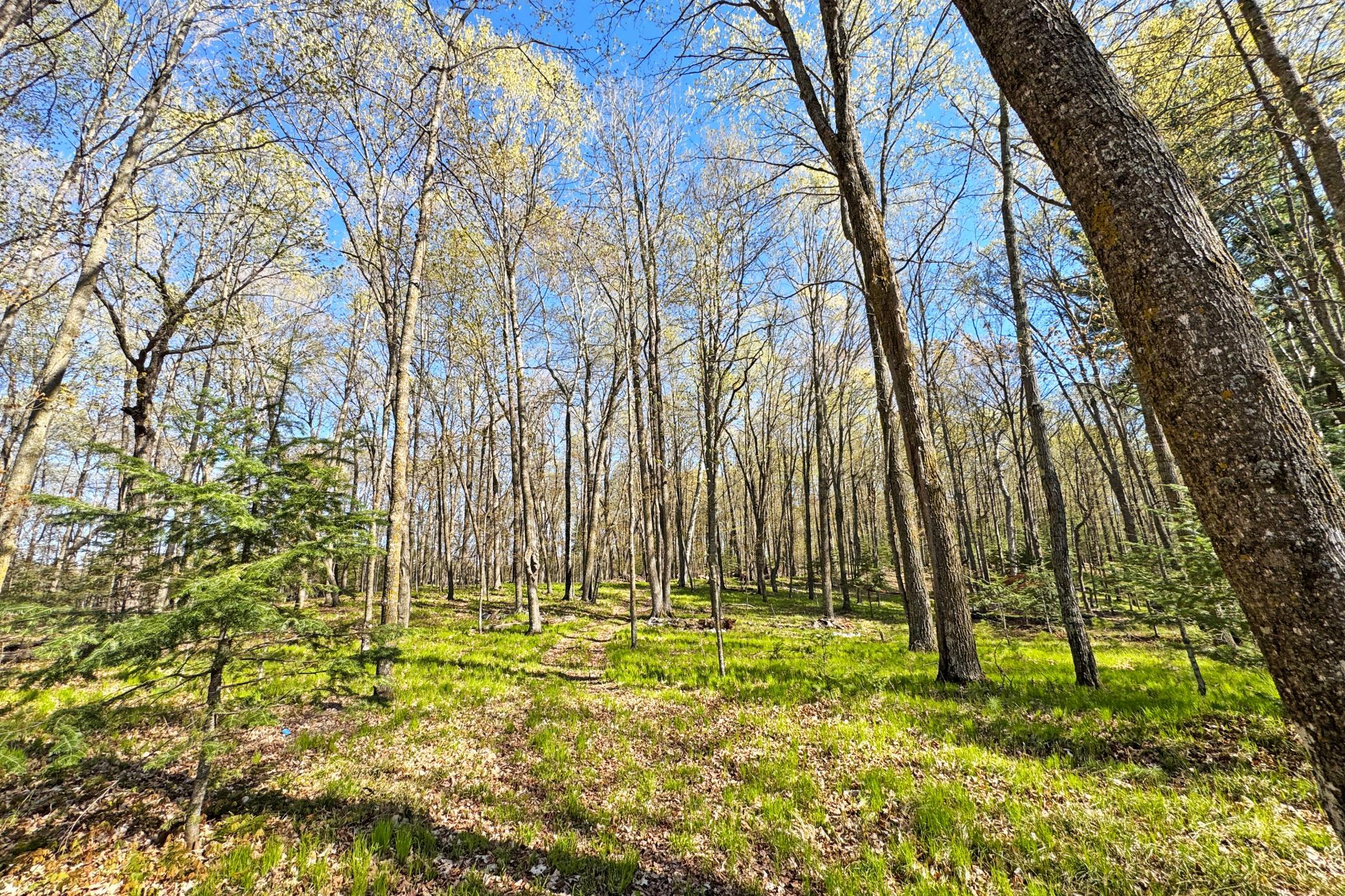 26810 North Hart Lake Road Pengilly, MN 55775 - Photo 54 of 67
