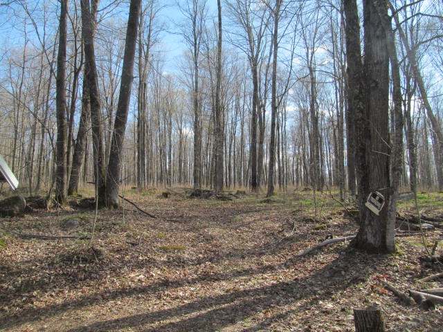 Off Maple Lane Clintonville, WI 54929 - Photo 7 of 10 Gallery Image 7
