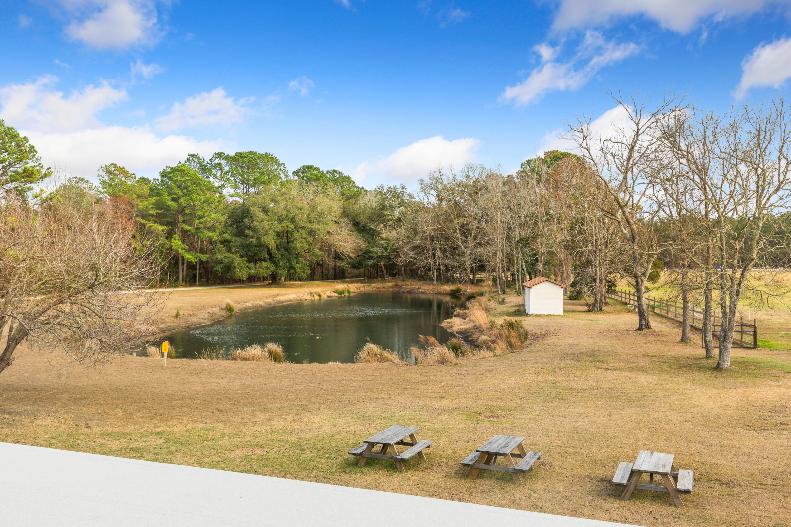 10970 Highway 17 McClellanville, SC 29458 - Photo 24 of 100 View of the Farm