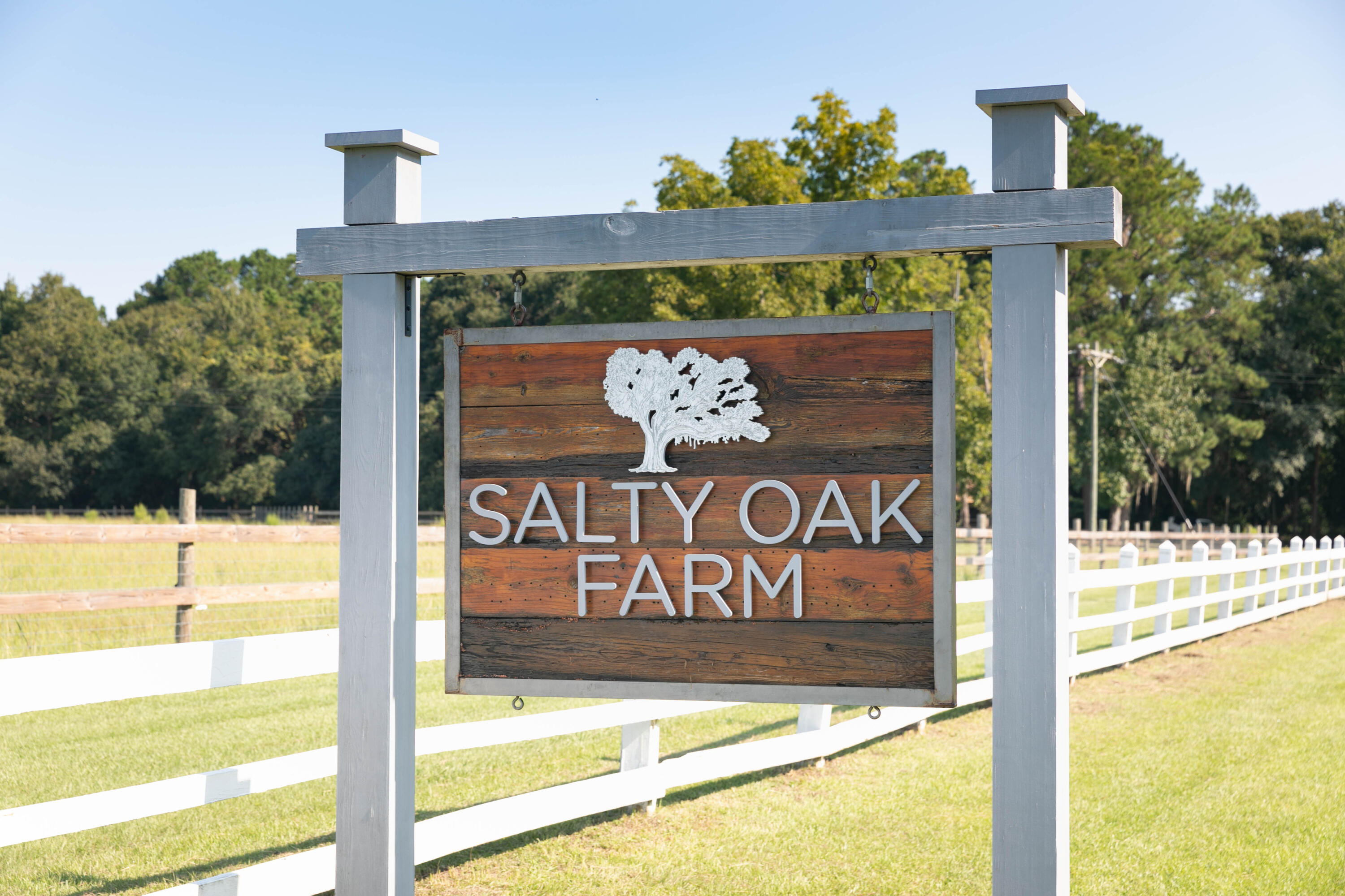 10970 Highway 17 McClellanville, SC 29458 - Photo 3 of 100 Salty Oak Farm