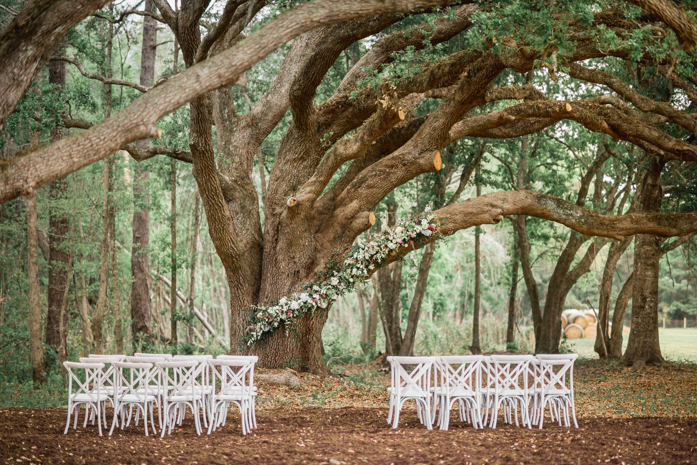 10970 Highway 17 McClellanville, SC 29458 - Photo 60 of 100 Salty Oak Tree Ceremony