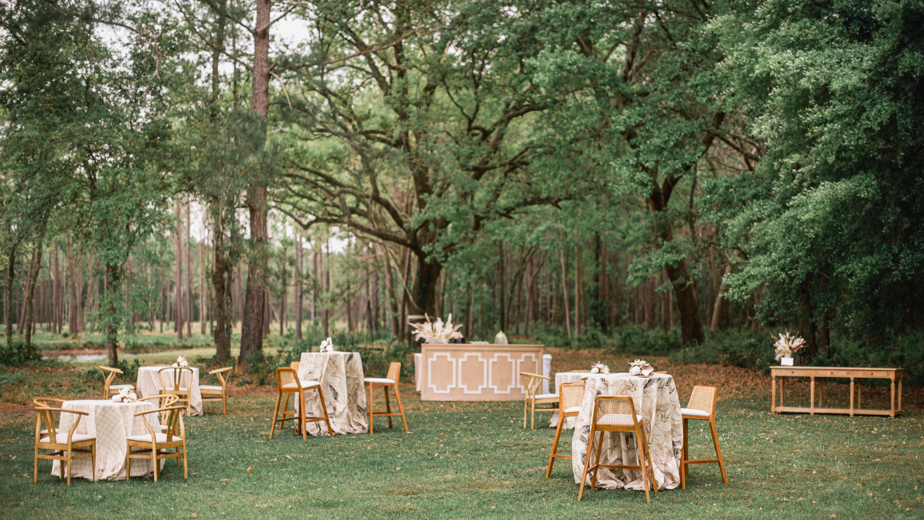 10970 Highway 17 McClellanville, SC 29458 - Photo 61 of 100 Forest Reception 2