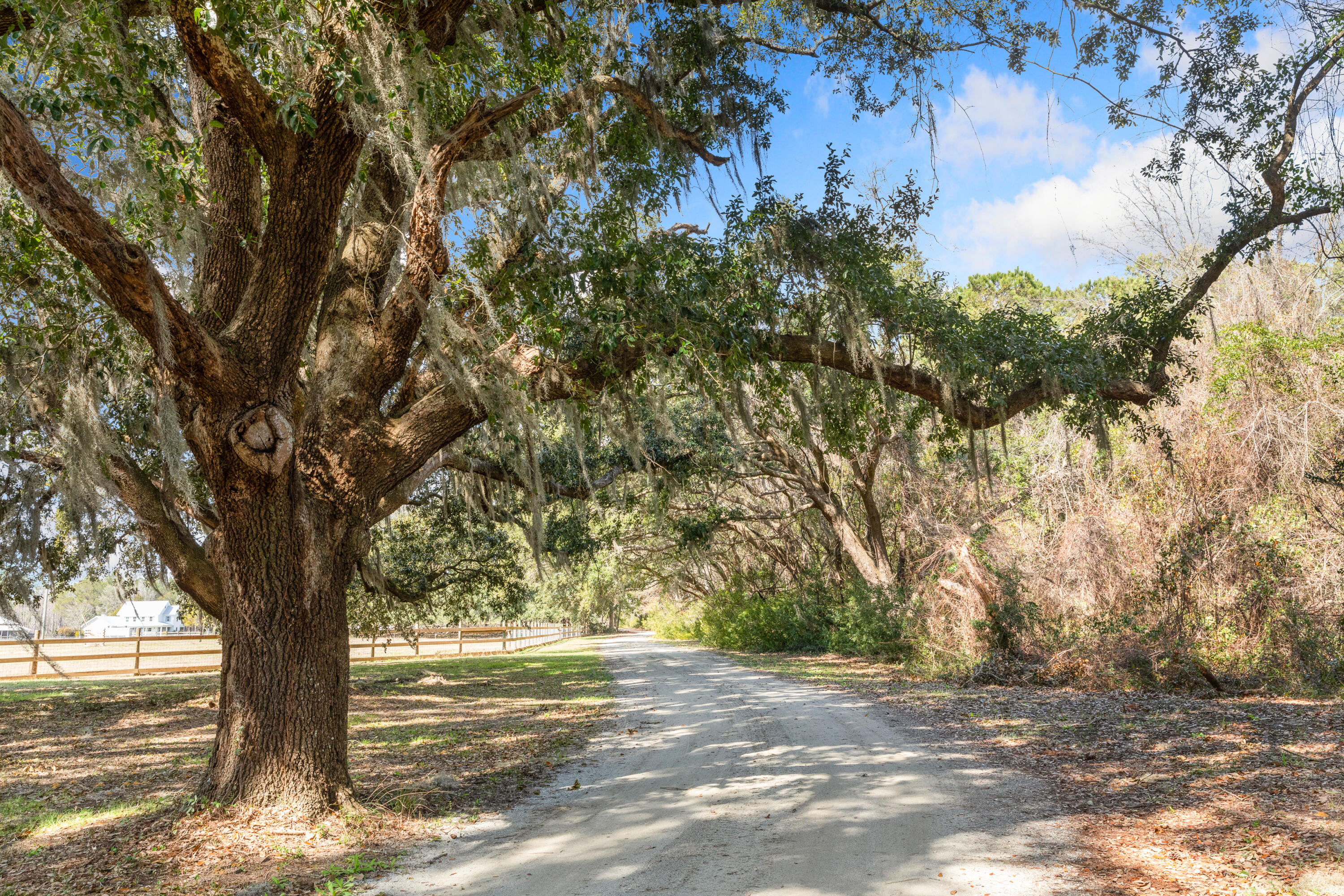 10970 Highway 17 McClellanville, SC 29458 - Photo 67 of 100 Beautiful Grounds