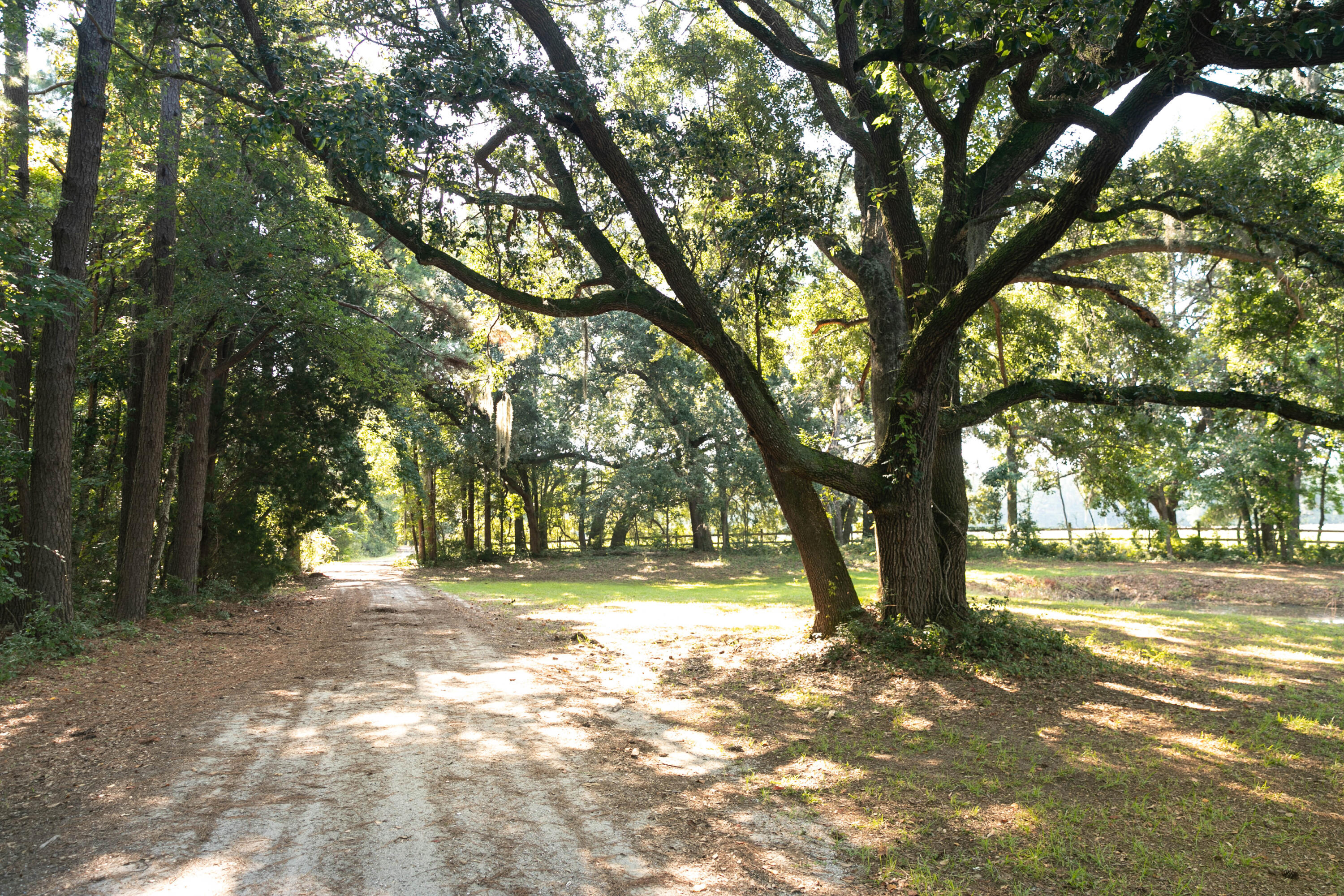 10970 Highway 17 McClellanville, SC 29458 - Photo 69 of 100 Beautiful Grounds