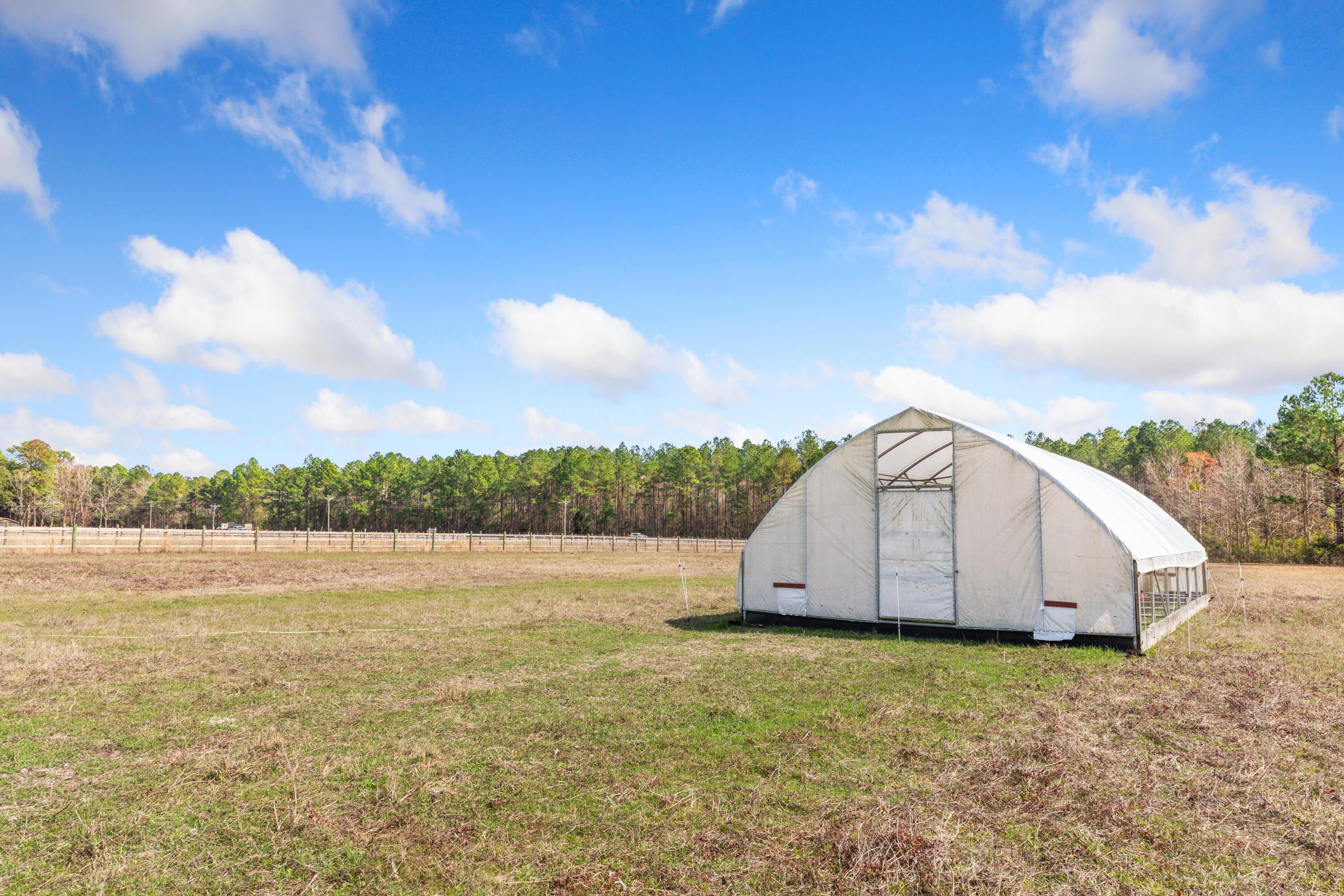 10970 Highway 17 McClellanville, SC 29458 - Photo 72 of 100 Grazing Fields