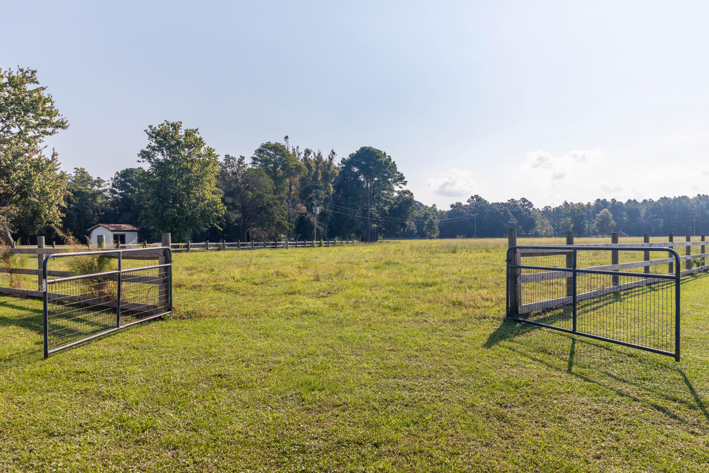 10970 Highway 17 McClellanville, SC 29458 - Photo 78 of 100 Grazing Fields