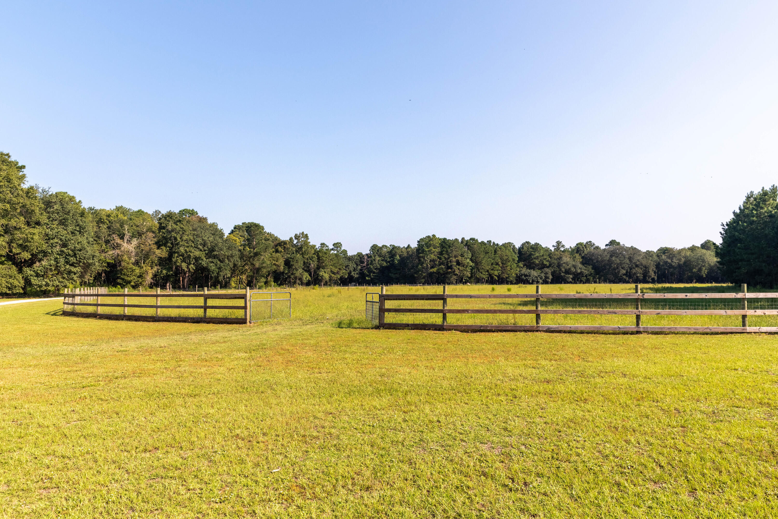 10970 Highway 17 McClellanville, SC 29458 - Photo 81 of 100 Fields