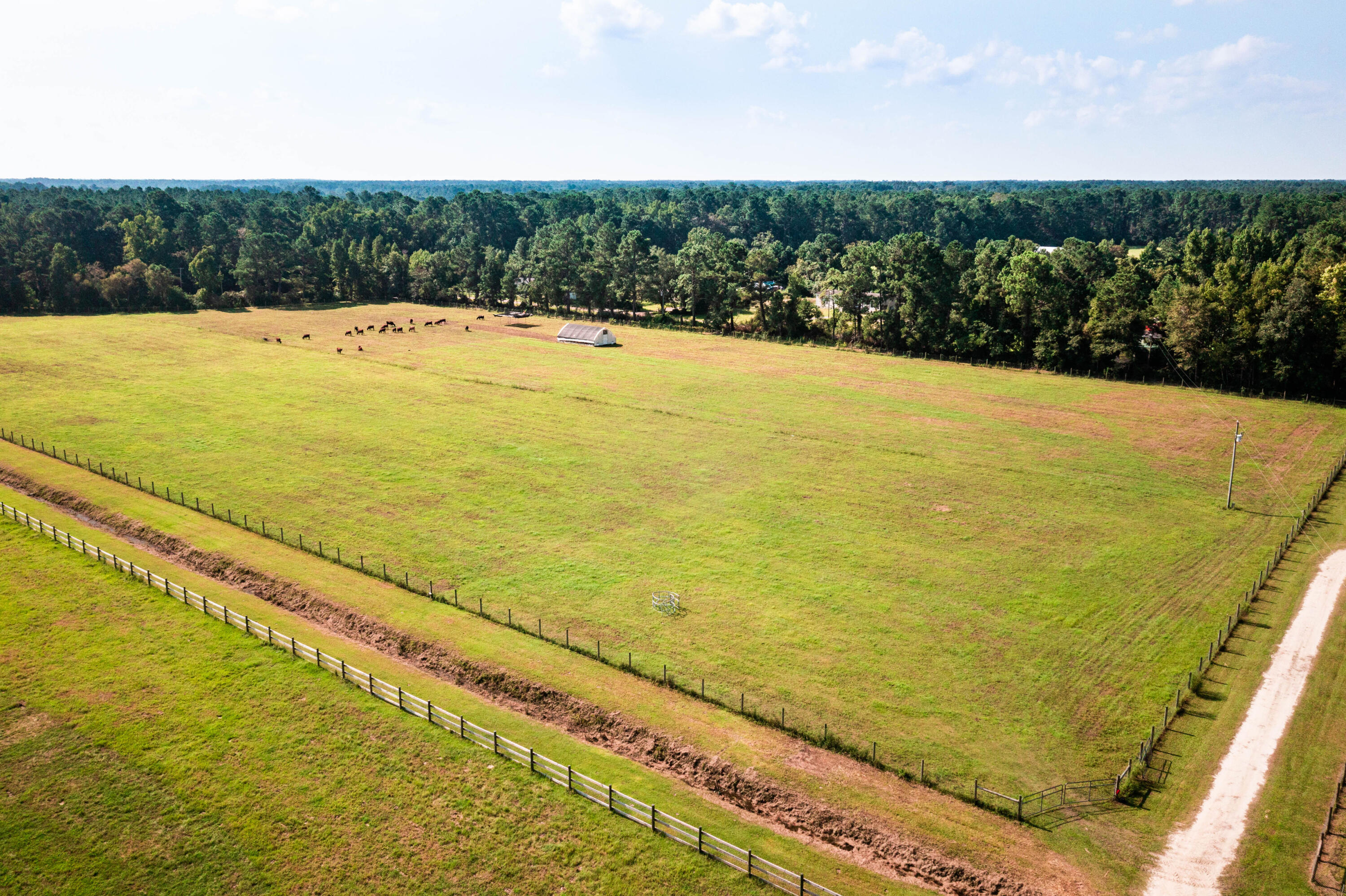 10970 Highway 17 McClellanville, SC 29458 - Photo 83 of 100 Aerial View