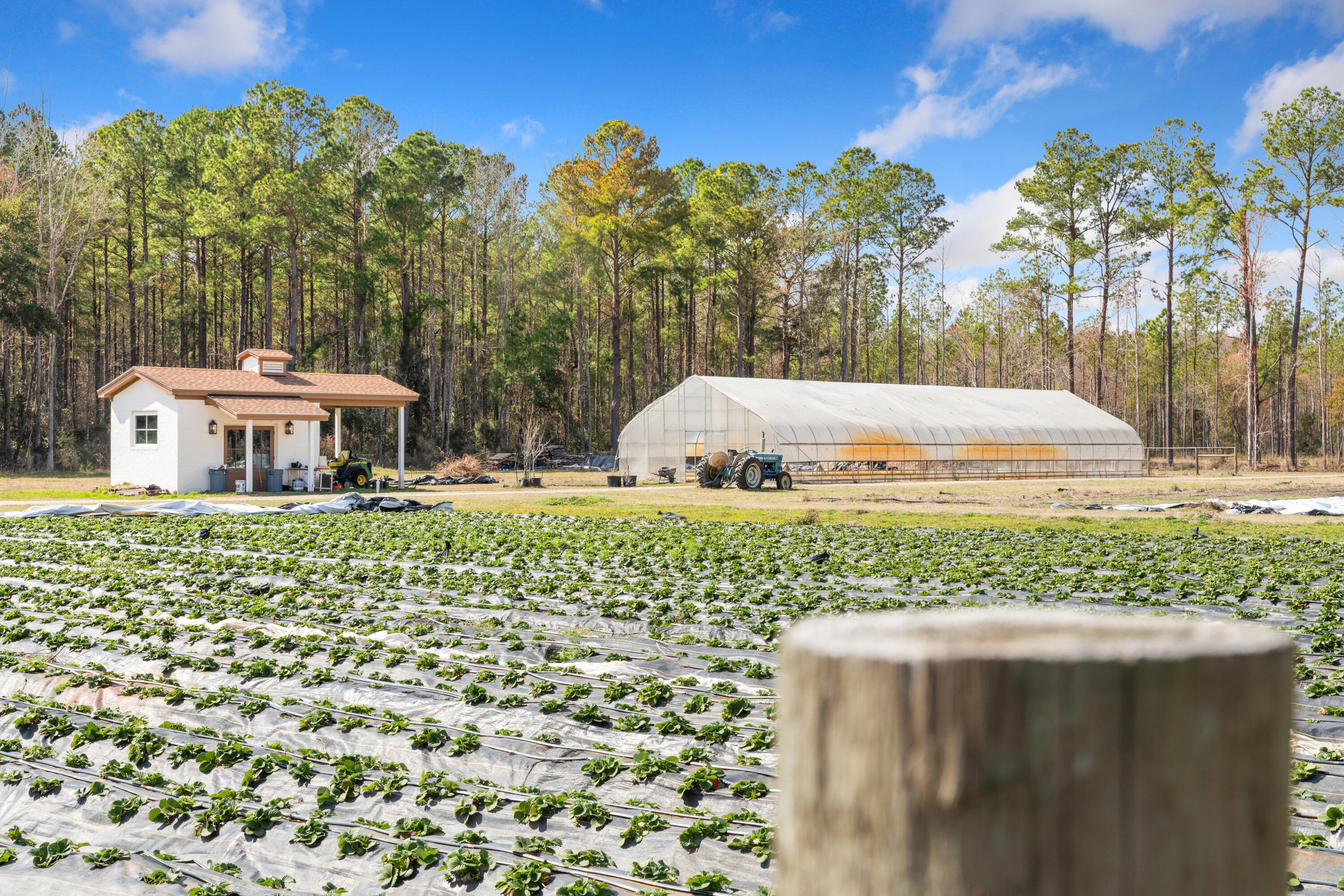 10970 Highway 17 McClellanville, SC 29458 - Photo 86 of 100 Fields