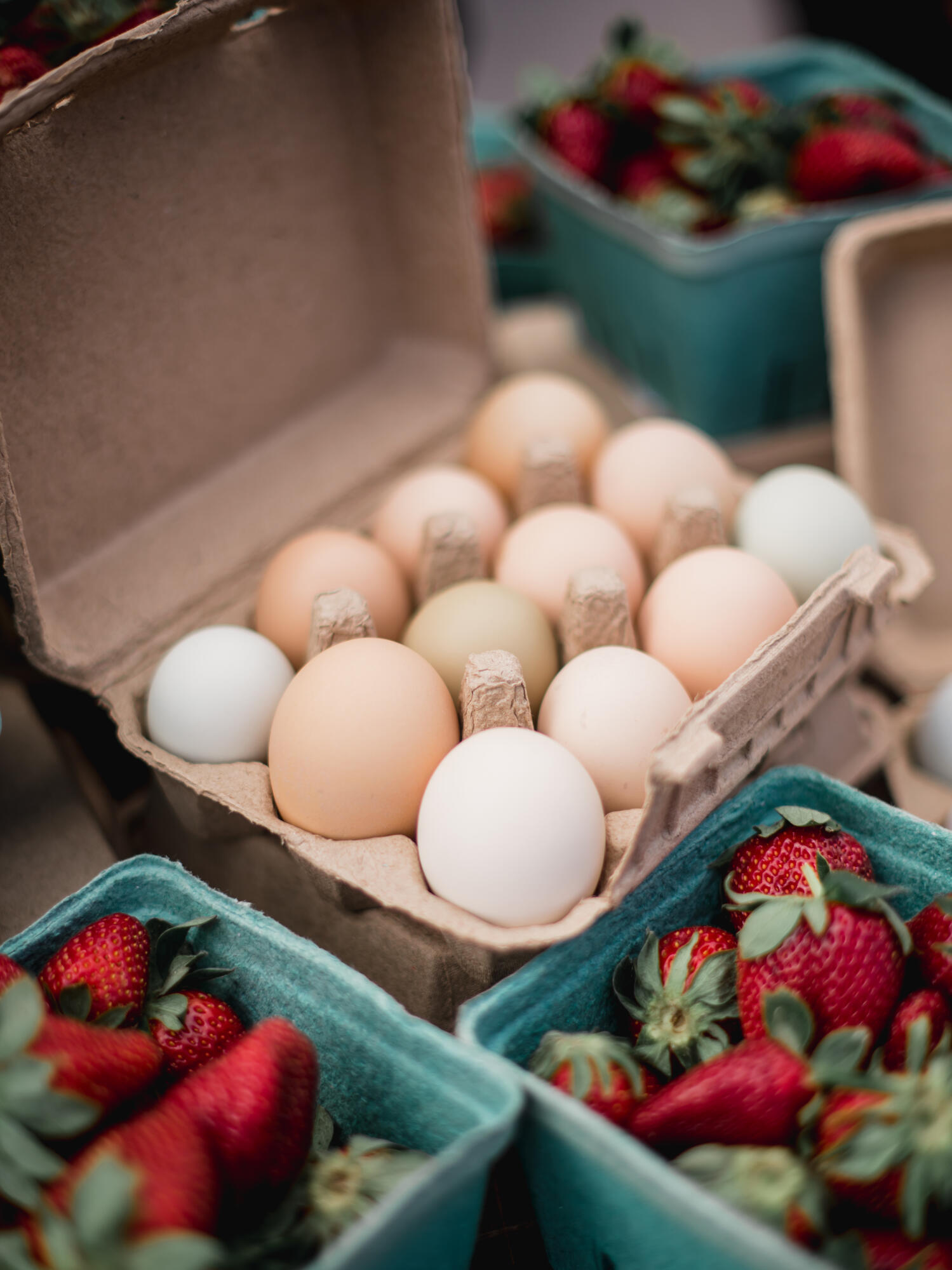 10970 Highway 17 McClellanville, SC 29458 - Photo 88 of 100 Eggs and Strawberries 1