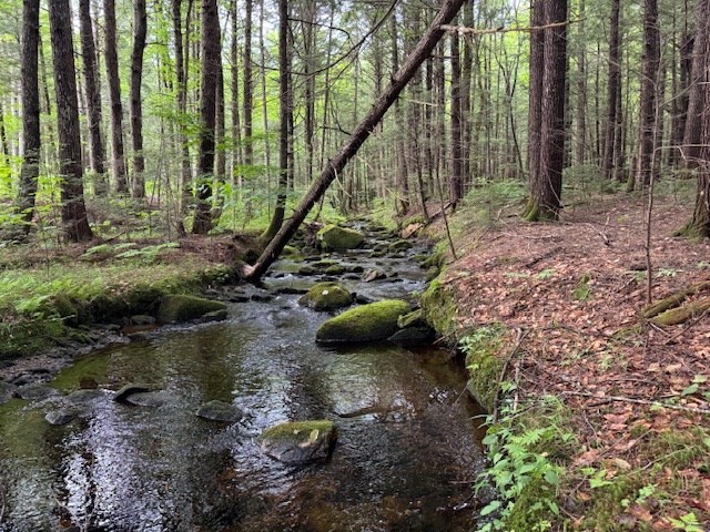 Lot 119 Davis Mine Road Rowe, MA 01367 - Photo 12 of 19 Gallery Image 12