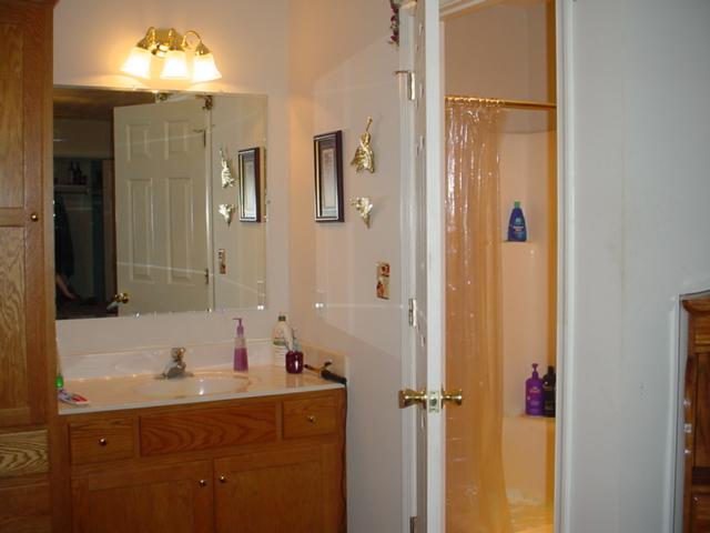 1391 Farm View Road Glade Hill, VA 24092 - Photo 7 of 10 master bath