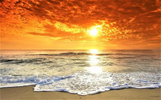 $92,500 | 201 Bedford Street, Unit 88, Sun City Center, FL 33573